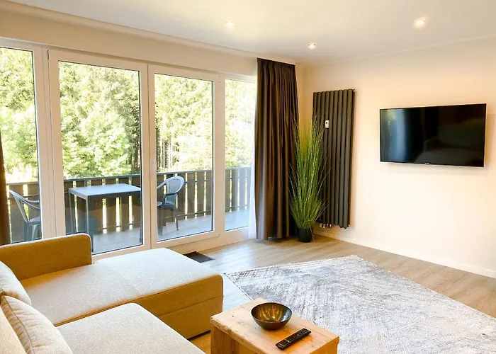 Smart Haus Azur 809 Apartment Winterberg